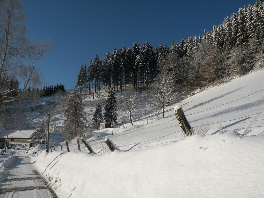 Landgasthof Nesselbach Nordenau Exterior photo